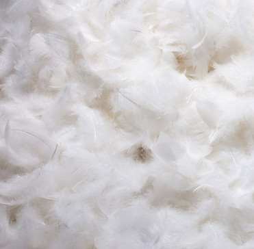 best-feather-pillows-goose-feather.jpg