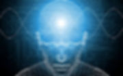 brain waves.jpeg
