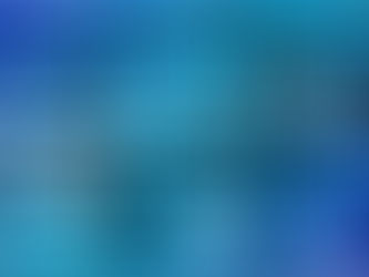 ANATOCISMO BANCARIO
(Interessi passivi bancari)