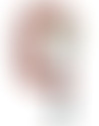 CARTELLE ESATTORIALI, AL VIA ROTTAMAZIONE BIS