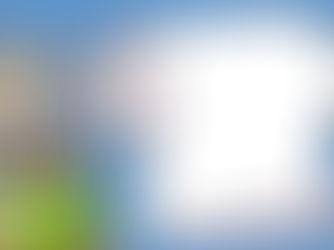 LEGGE FALLIMENTARE…..DISCIPLINA IN CONTINUA EVOLUZIONE