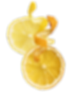 Botaniche
