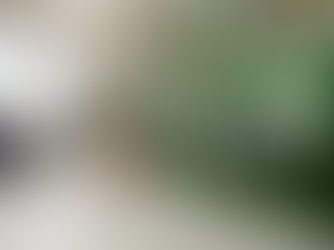 PROROGA “CONTRIBUTO ACQUISTO /LEASING BENI STRUMENTALI” PER PMI