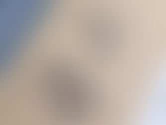 サローヤン「僕の名はアラム」感想