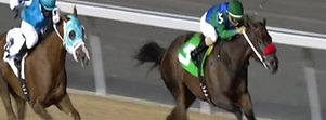 278033577_10166229983210542_8345795740037973352_n_edited_edited.jpg