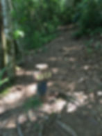 IMG_2947.jpeg