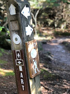 IMG_1782.jpeg