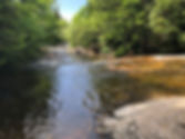 IMG_1260.jpeg