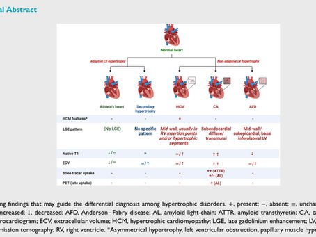 Diagnóstico y manejo de los pacientes con hipertrofia VI: el rol de la imagen multimodal. 