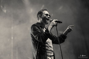 ABSOLUTE QUEEN
Performing Live