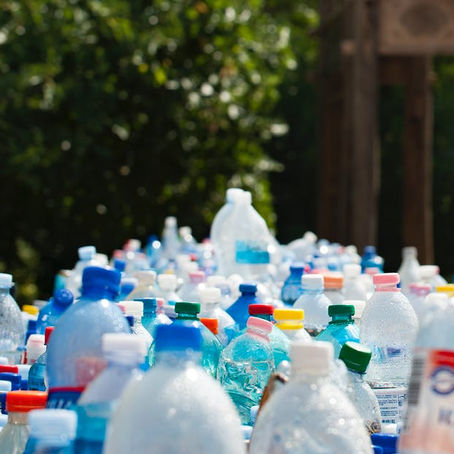 What can you do to help save our oceans?