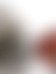 Taking the High Road