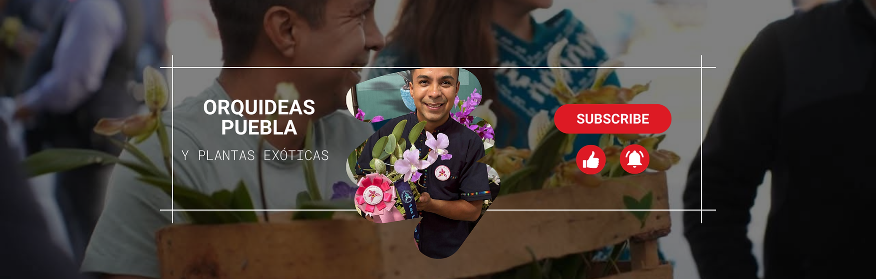 orquídeas puebla y plantas exóticas