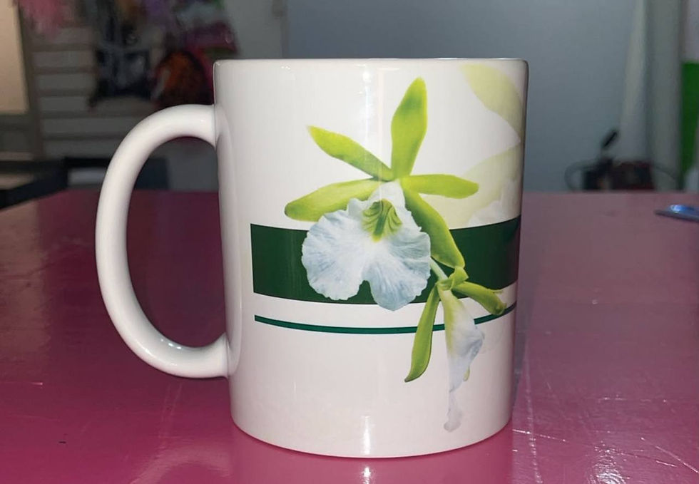 Taza blanca con ilustración de orquídea Prosthechea mariae