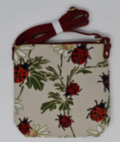 SL-01 Ladybug