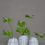 Thumbnail: Shiro Shoji Vessel | Lines