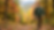 Matt Walking in woods - AI.png