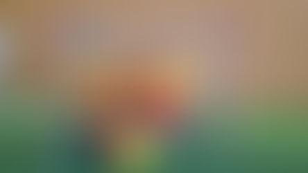 Tým Mini úspěšně reprezentoval na turnaji ve Velké nad Veličkou