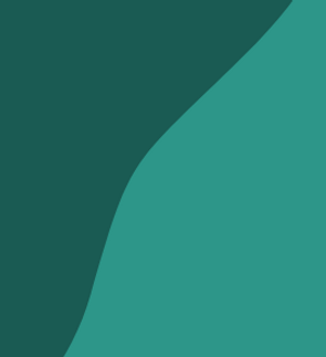 Visuels site.png