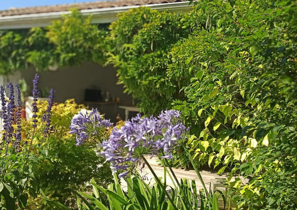 le jardin vous accueille à votre arrivée