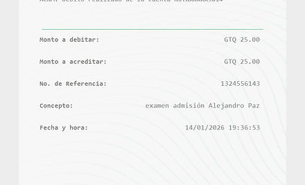Ejemplo Boleta.jpg