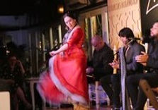 espectaculo-flamenco.jpg