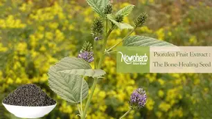 Psoralea Fruit Extract