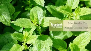 How Does Mint Powder Deliver Cooling Freshness and Digestive Support Naturally?