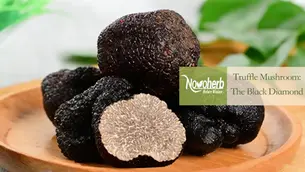 Truffles Mushroom Extract