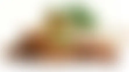 Cinnamon Bark Extract