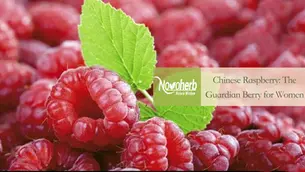 Chinese Raspberry Extract