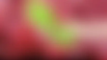 Chinese Raspberry Extract