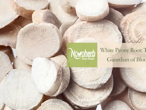 White Peony Root Extract