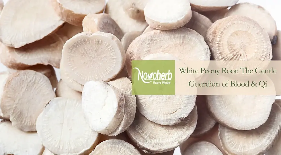 White Peony Root Extract Powder