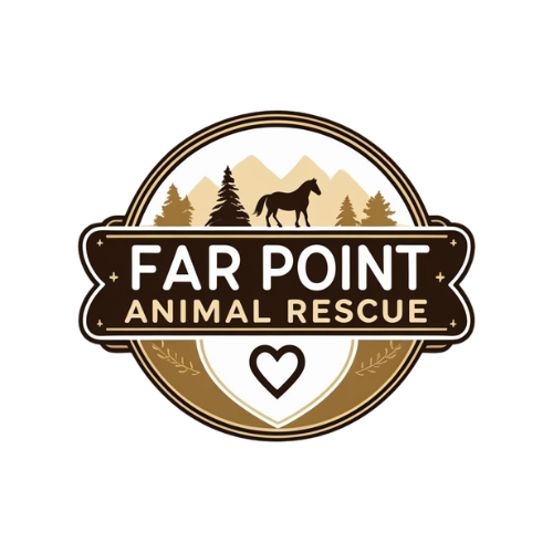 Far Point Rescue logo.png