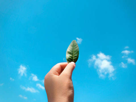VRF E A PONTUAÇÃO VERDE: CONTRIBUIÇÃO PARA AS CERTIFICAÇÕES LEED E AQUA