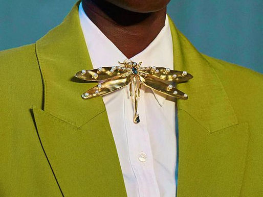 modelo, usando broche acessório do momento.