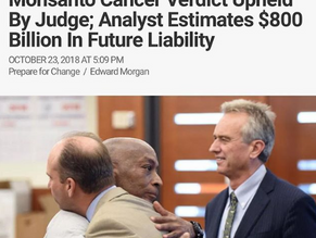 Bayer Stock Crashes after Monsanto Verdict Upheld By Judge; Analyst Estimates $800 Billion In Future