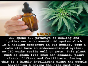 CBD Opens 570 pathways of healing but synthesized CBD from big Pharma is proving to be a real doozie
