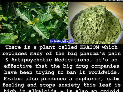 Super Food that replaces big pharma drugs... No wonder they are trying to make it illegal
