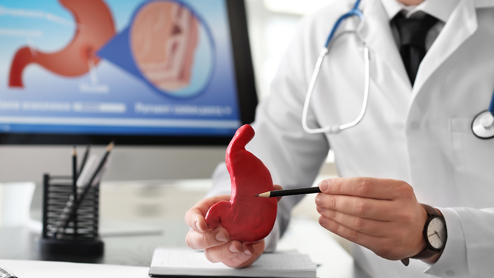 Doctor in a white coat pointing at a red stomach model with a pen. A computer screen shows digestive system diagrams in the background.
