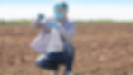 Scientist kneeling in a field, wearing protective gear, examines soil sample. Clear sky, brown soil, blue gloves and face mask.