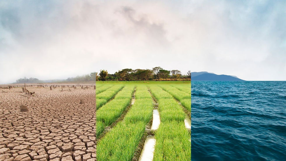Dry cracked land, green crops, and blue ocean waters are aligned side by side, representing environmental contrasts under a cloudy sky.