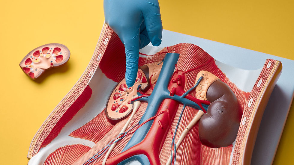 How does Wegovy dosing differ for patients with kidney or liver issues?