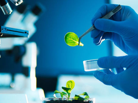 The Science Behind the Shot: How Biotechnology Helped Shape Wegovy