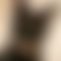 京都府　月くん