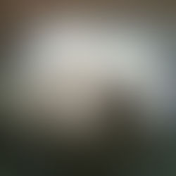 東京都　翠ちゃん