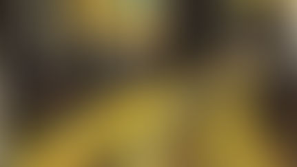 Фрида Шутман. "О бедном Пинхасе замолвите слово". #Конкурс СРПИ ко Дню алии.