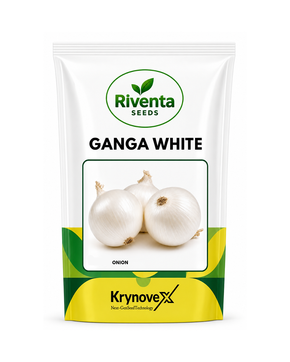 Riventa Ganga White Hybrid Onion Seeds