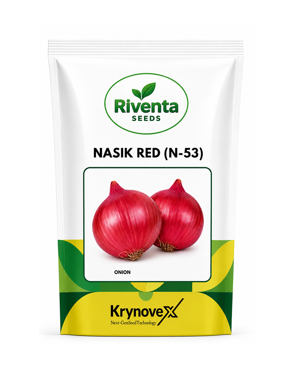 Riventa Nasik Red N-53 F1 Hybrid Onion Seeds